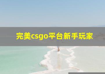 完美csgo平台新手玩家