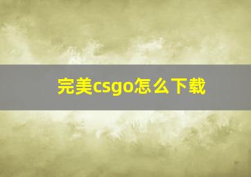 完美csgo怎么下载