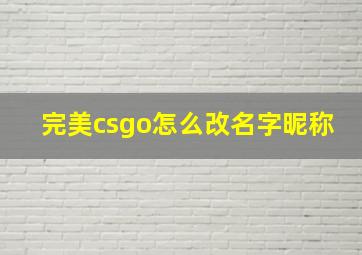 完美csgo怎么改名字昵称