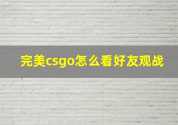 完美csgo怎么看好友观战