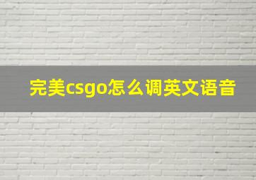 完美csgo怎么调英文语音