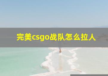 完美csgo战队怎么拉人