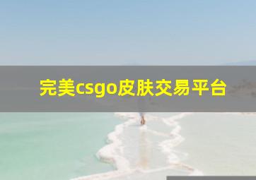 完美csgo皮肤交易平台