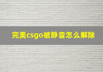 完美csgo被静音怎么解除