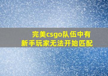 完美csgo队伍中有新手玩家无法开始匹配