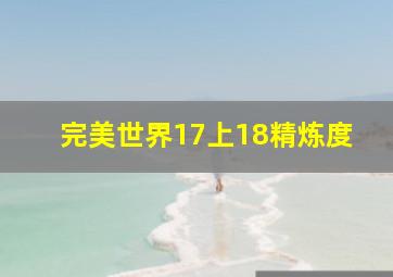 完美世界17上18精炼度