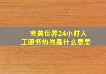 完美世界24小时人工服务热线是什么意思