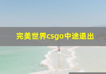 完美世界csgo中途退出