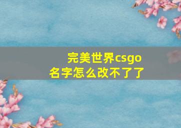 完美世界csgo名字怎么改不了了