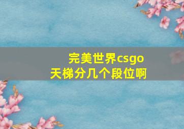 完美世界csgo天梯分几个段位啊