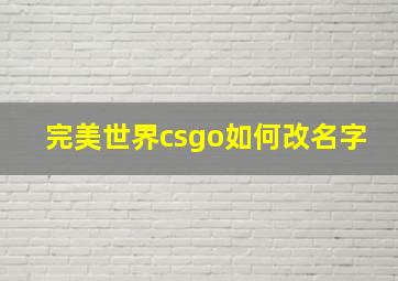 完美世界csgo如何改名字