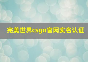 完美世界csgo官网实名认证