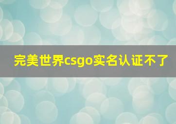 完美世界csgo实名认证不了