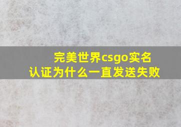 完美世界csgo实名认证为什么一直发送失败