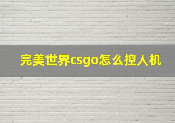 完美世界csgo怎么控人机