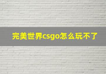 完美世界csgo怎么玩不了