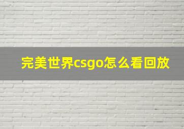 完美世界csgo怎么看回放