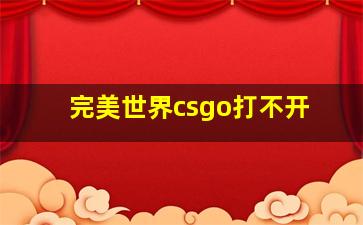 完美世界csgo打不开