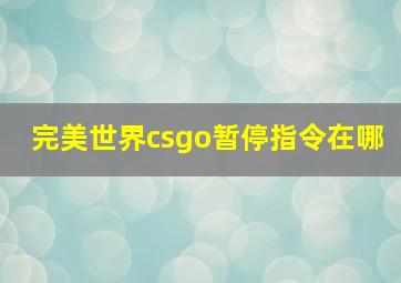 完美世界csgo暂停指令在哪