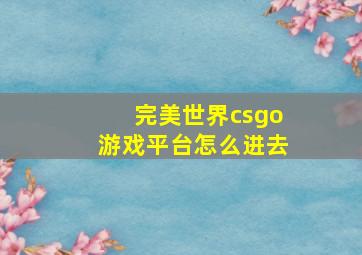 完美世界csgo游戏平台怎么进去