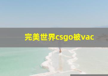 完美世界csgo被vac