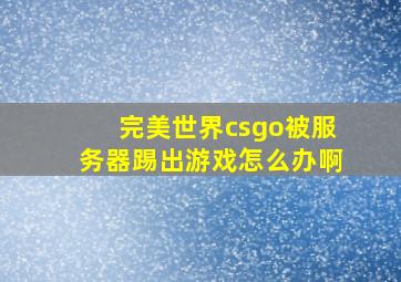 完美世界csgo被服务器踢出游戏怎么办啊