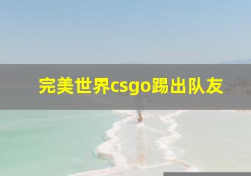 完美世界csgo踢出队友