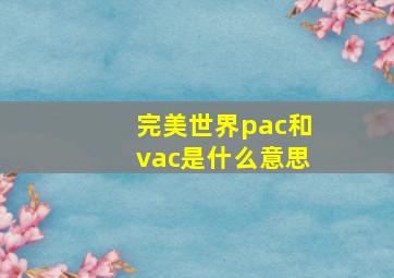 完美世界pac和vac是什么意思