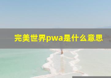 完美世界pwa是什么意思