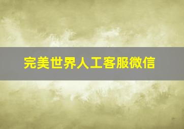 完美世界人工客服微信