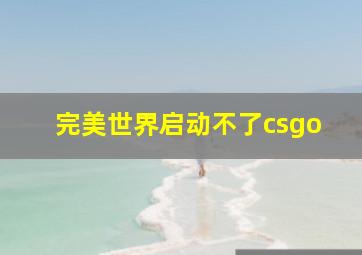 完美世界启动不了csgo