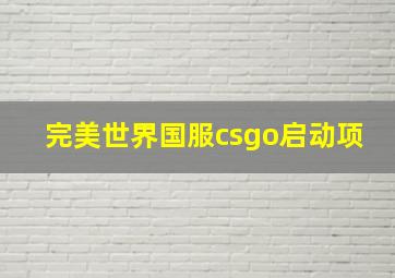 完美世界国服csgo启动项