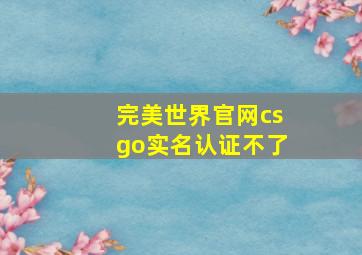 完美世界官网csgo实名认证不了