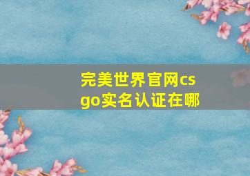 完美世界官网csgo实名认证在哪