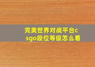 完美世界对战平台csgo段位等级怎么看