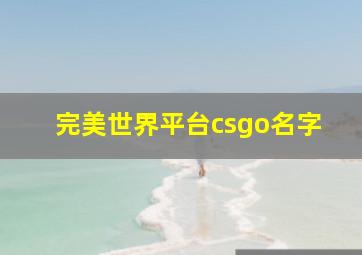 完美世界平台csgo名字