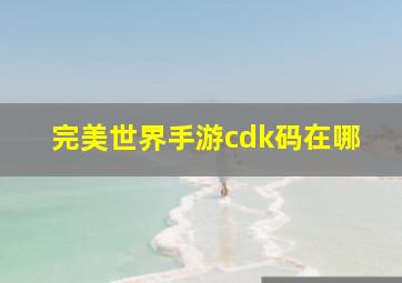 完美世界手游cdk码在哪