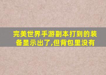 完美世界手游副本打到的装备显示出了,但背包里没有