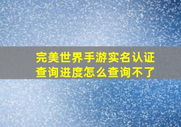 完美世界手游实名认证查询进度怎么查询不了