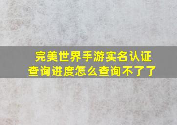 完美世界手游实名认证查询进度怎么查询不了了