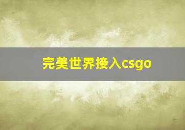 完美世界接入csgo