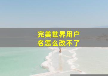 完美世界用户名怎么改不了