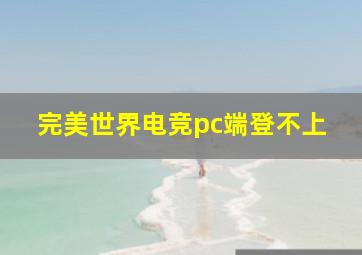 完美世界电竞pc端登不上