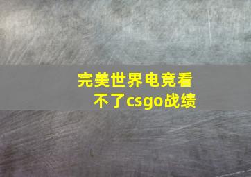 完美世界电竞看不了csgo战绩