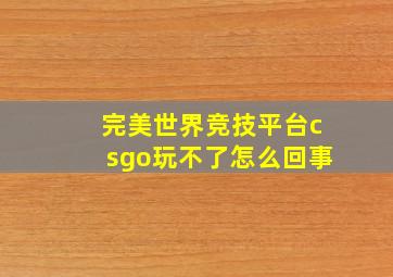 完美世界竞技平台csgo玩不了怎么回事