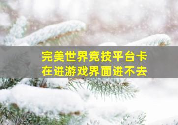 完美世界竞技平台卡在进游戏界面进不去