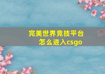 完美世界竞技平台怎么进入csgo