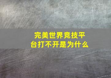 完美世界竞技平台打不开是为什么