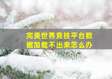 完美世界竞技平台数据加载不出来怎么办