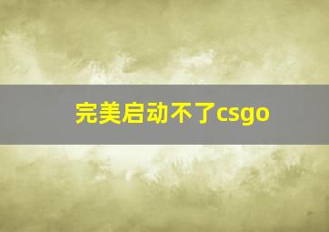 完美启动不了csgo